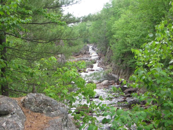Willow Landing at Lowville
